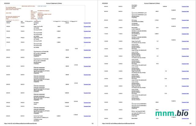 Pakistan MCB wyciąg bankowy szablon Worda i PDF